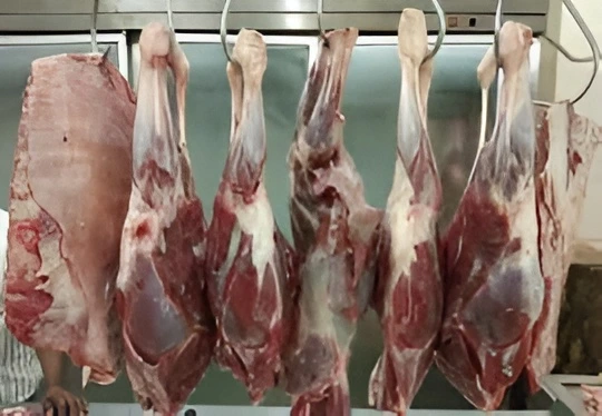 گوشت کا ناغہ