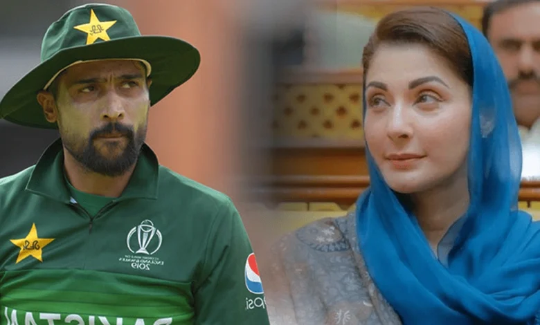 مریم نواز نے عامر کا مسئلہ حل کردیا