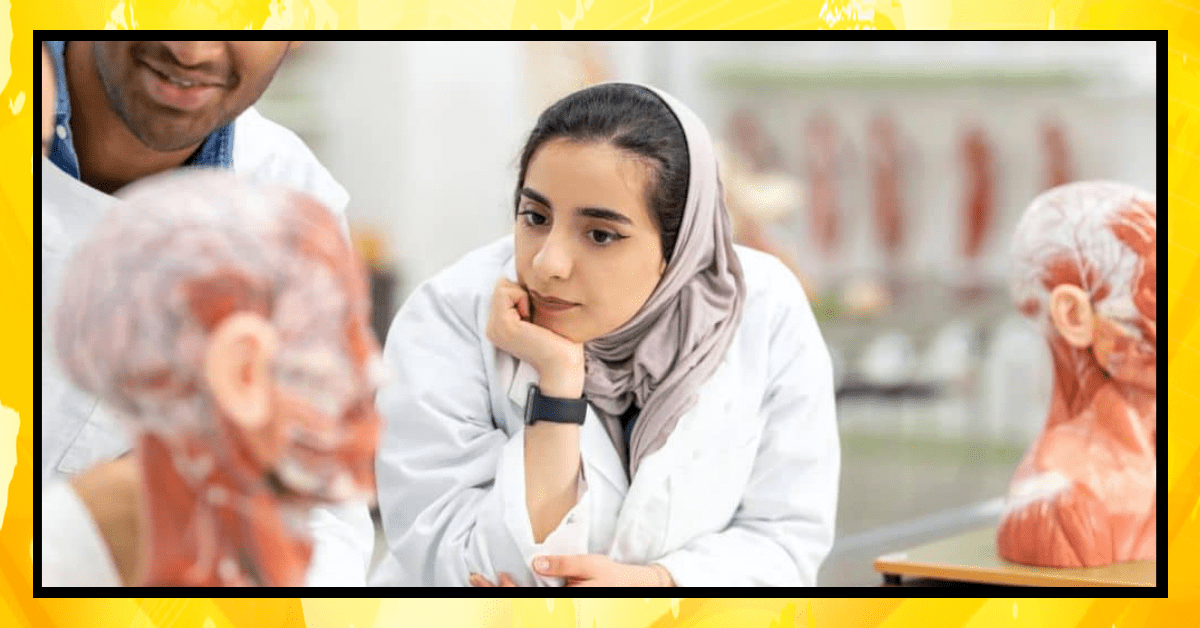 پی ایم ڈی سی