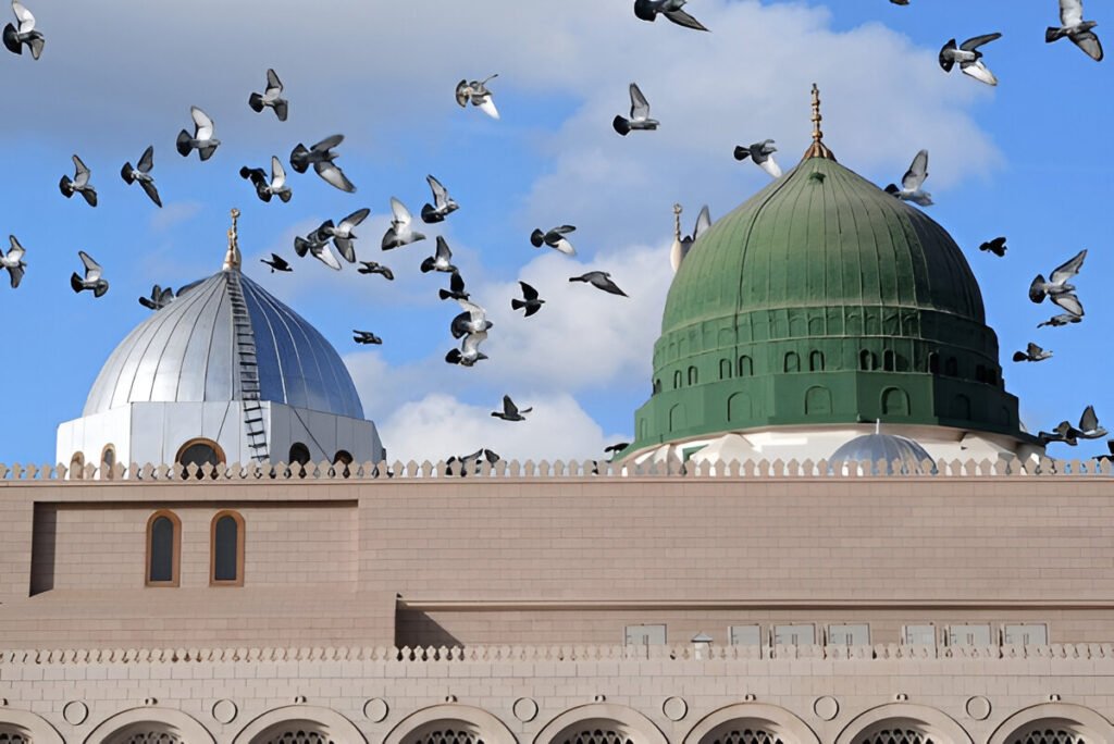 حضرت حسان بن ثابت کے حضور ﷺ کی شان میں‌ اشعار