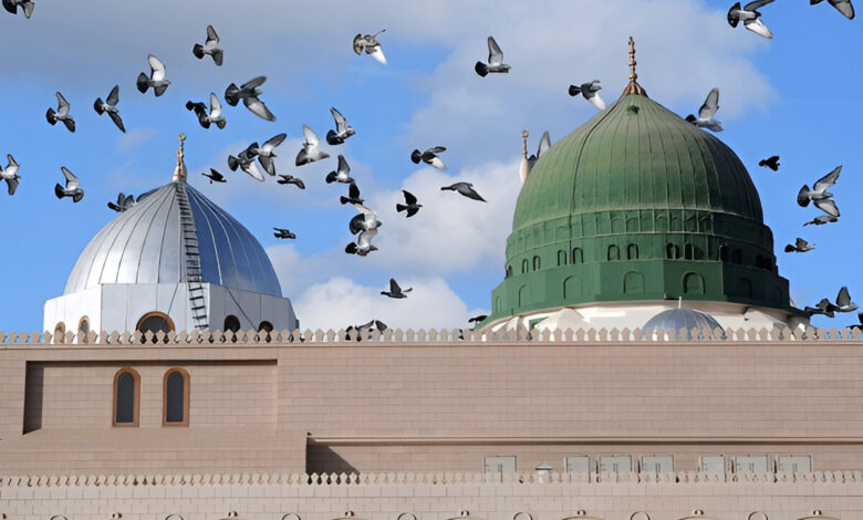 حسان بن ثابت