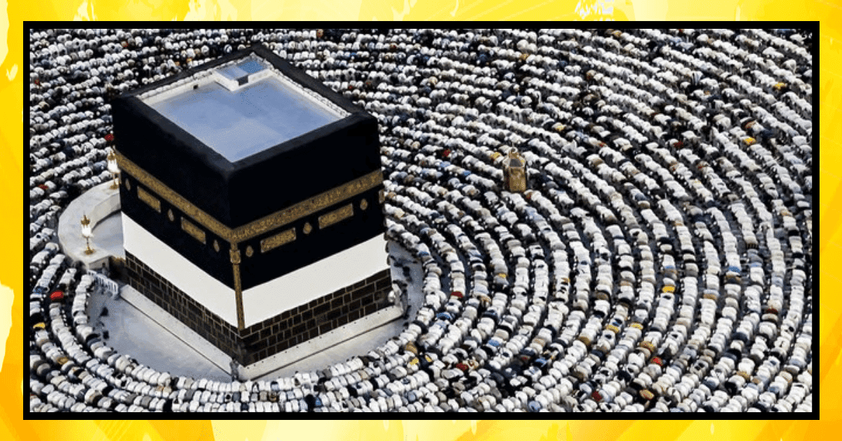 حج پالیسی 2025
