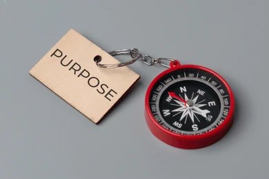 مقصد کی تلاش