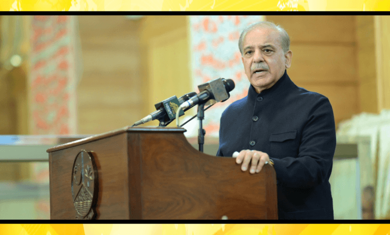 وزیر اعظم شہباز شریف کا ایک سال