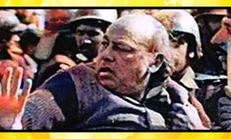 Habib Jalib
