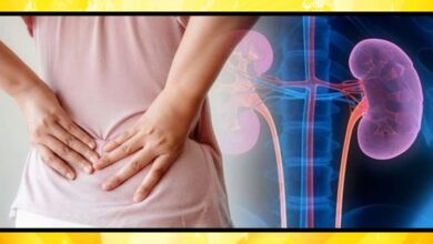 Kidney Damage