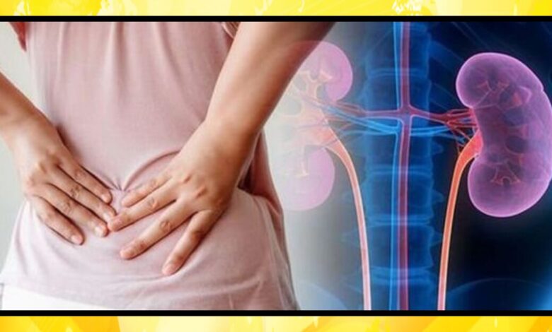 Kidney Damage