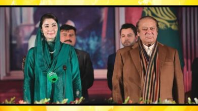 آڈٹ رپورٹ پنجاب