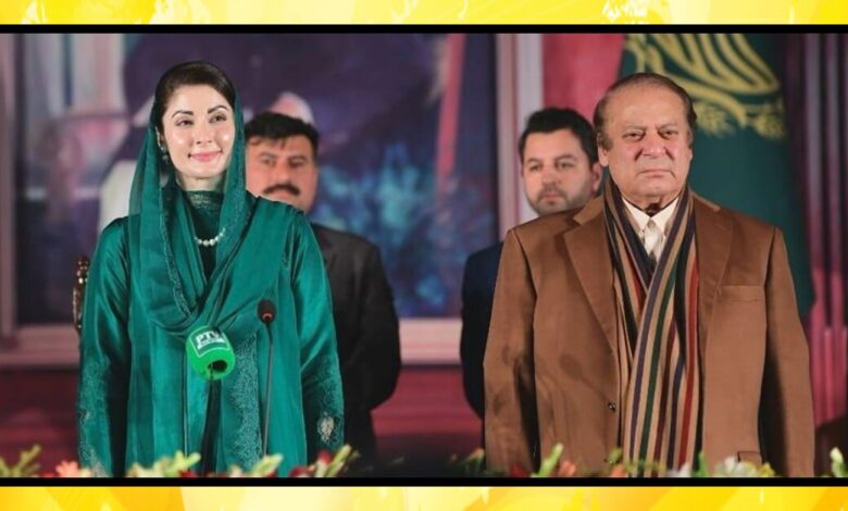 آڈٹ رپورٹ پنجاب