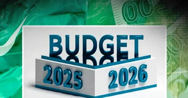 بجٹ 2025-26 ؛ کیا مہنگا کیا سستا ہوگا؟