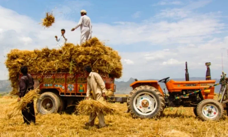 اکنامک سروے آف پاکستان