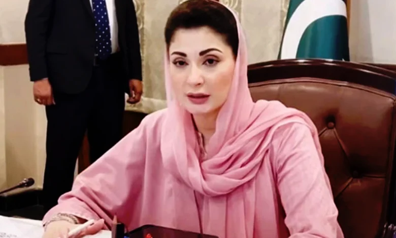آڈٹ رپورٹ پنجاب