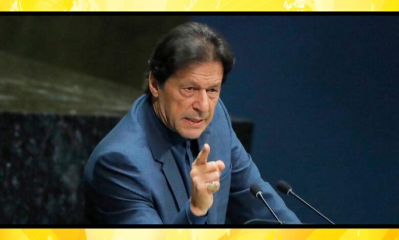 پیٹرن انچیف پی ٹی آئی