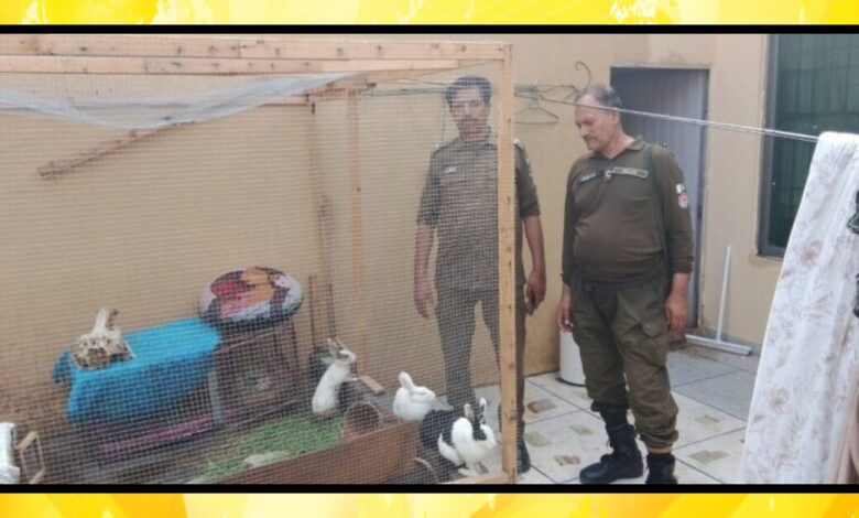 جانوروں کے تحفظ