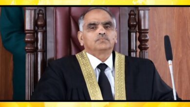 نگار نیازی کیس