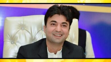 سینیٹر مراد سعید