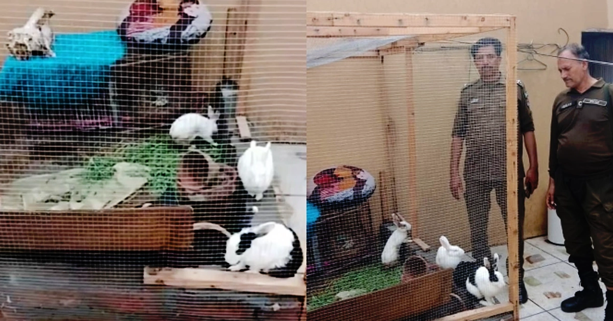جانروں کے تحفظ