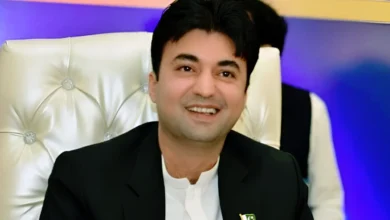سینیٹر مراد سعید