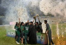 عرفان خان نیازی