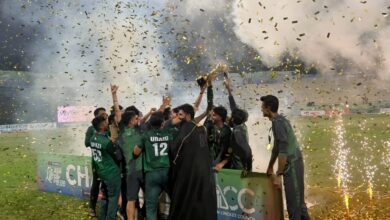 عرفان خان نیازی