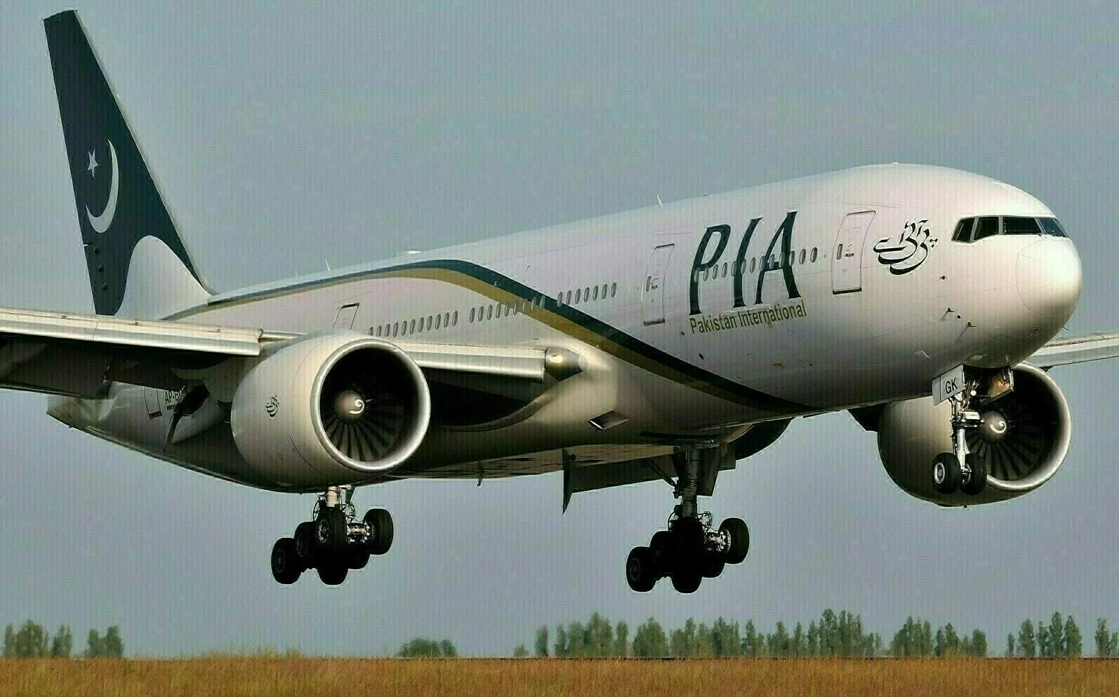 قومی ایئر لائن
