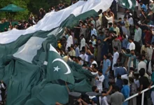 ادارہ جاتی ناکامیاں