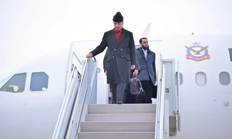 بورڈ آف پیس