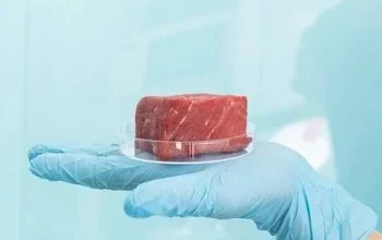 لیب میں تیار کردہ گوشت