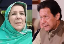 نورین نیازی