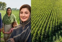 اپنا کھیت اپنا روزگار سکیم