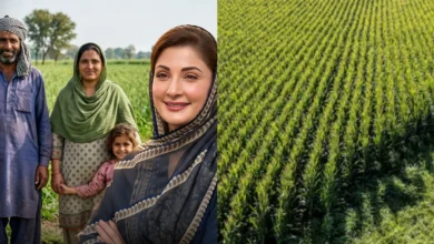 اپنا کھیت اپنا روزگار سکیم