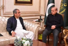 سرمایہ کاروں