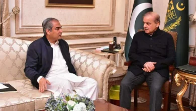 سرمایہ کاروں