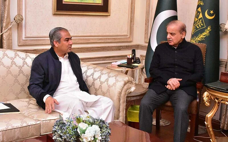 سرمایہ کاروں