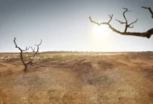 سپر ایل نینو