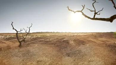 سپر ایل نینو