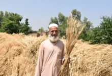 پاکستانی کسان