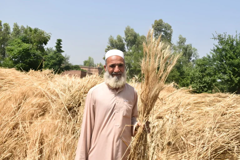 بارشیں، ڈیزل کی قیمت اور حکومتی پالیسیوں میں پستا ہوا پاکستانی کسان