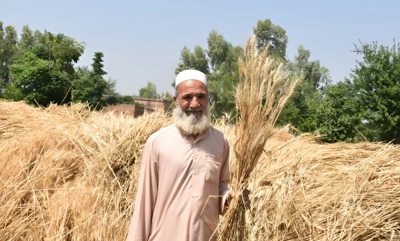 پاکستانی کسان