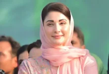 پنجاب میں 1.5 لاکھ سرکاری آسامیوں کا خاتمہ