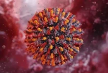 کانگو وائرس