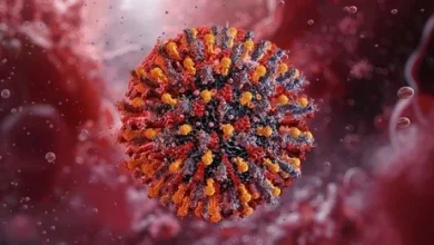 کانگو وائرس