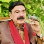 لال حویلی سے کمرہِ عدالت تک: شیخ رشید کا 50 سال بعد وکالت میں واپسی کا فیصلہ