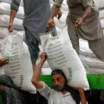 چینی امپورٹ ایکسپورٹ